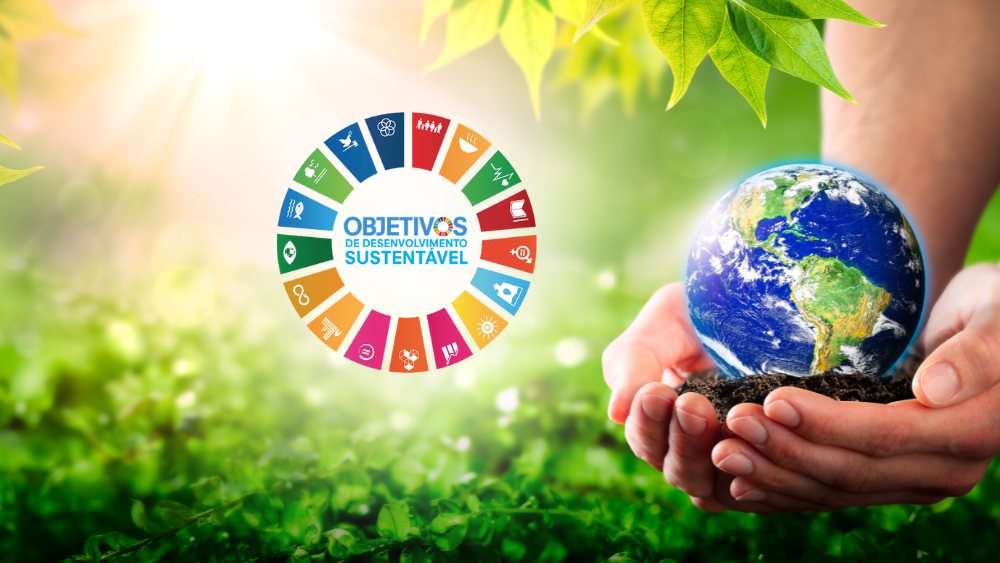 ODS e Salve Atibaia: por que nosso trabalho está alinhado à Agenda 2030 da ONU